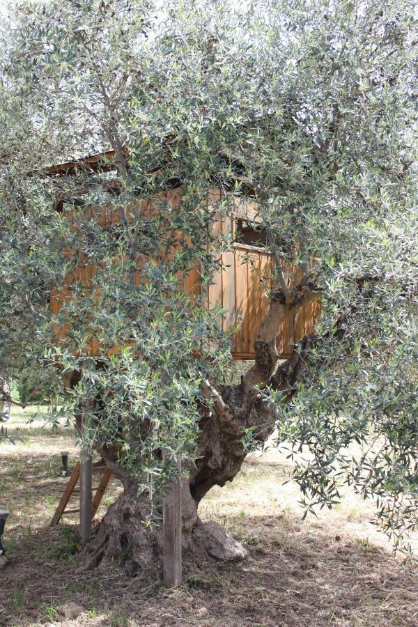 Mercouri Stone Cottage Korakokhórion Exterior foto